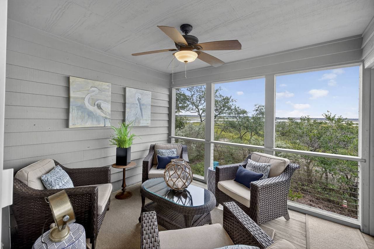 Marsh Hawk - Image 46