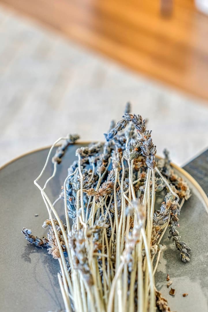 Lavender Hill Farm - Image 28