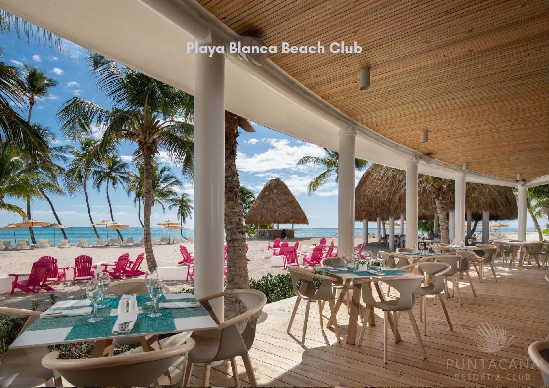 Hacienda Palmera - Image 32