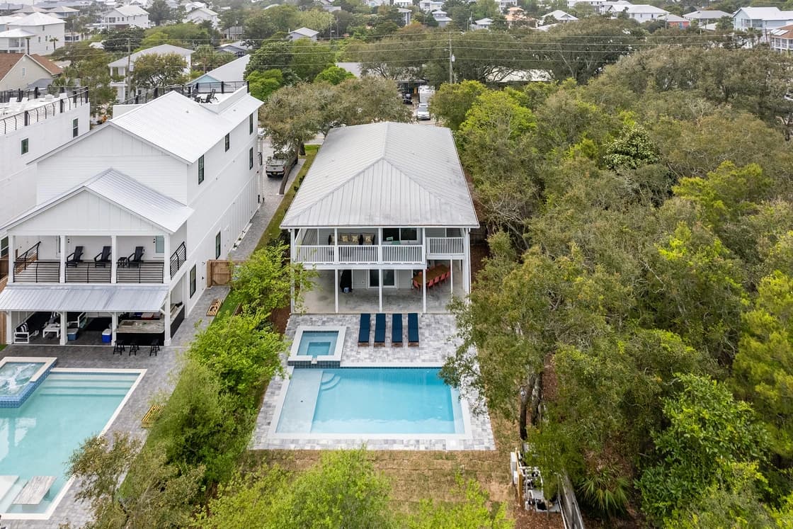 Dolphin Days - Image 25