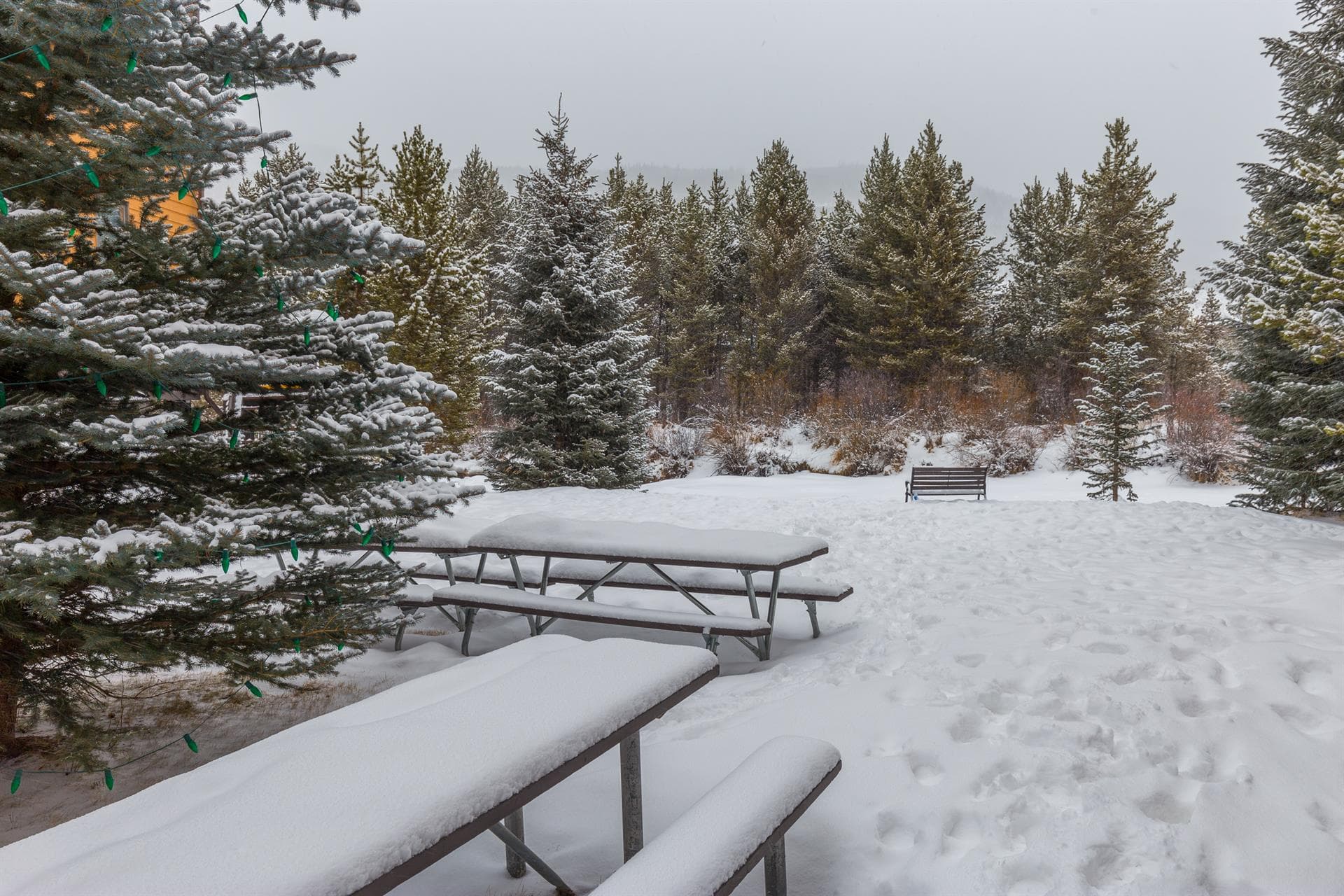 Cedar Cabin - Image 28