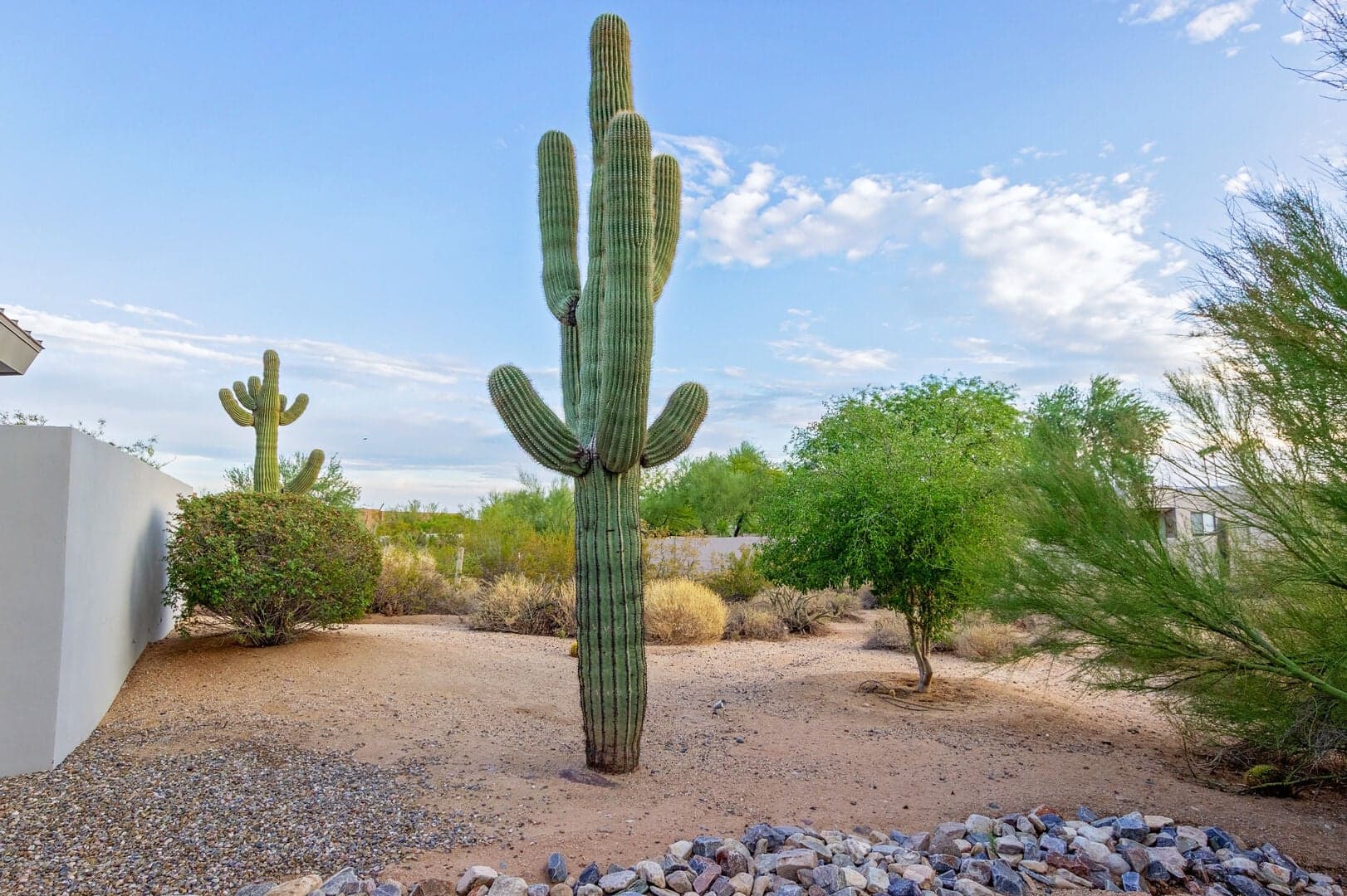 Whispering Wind - Image 105