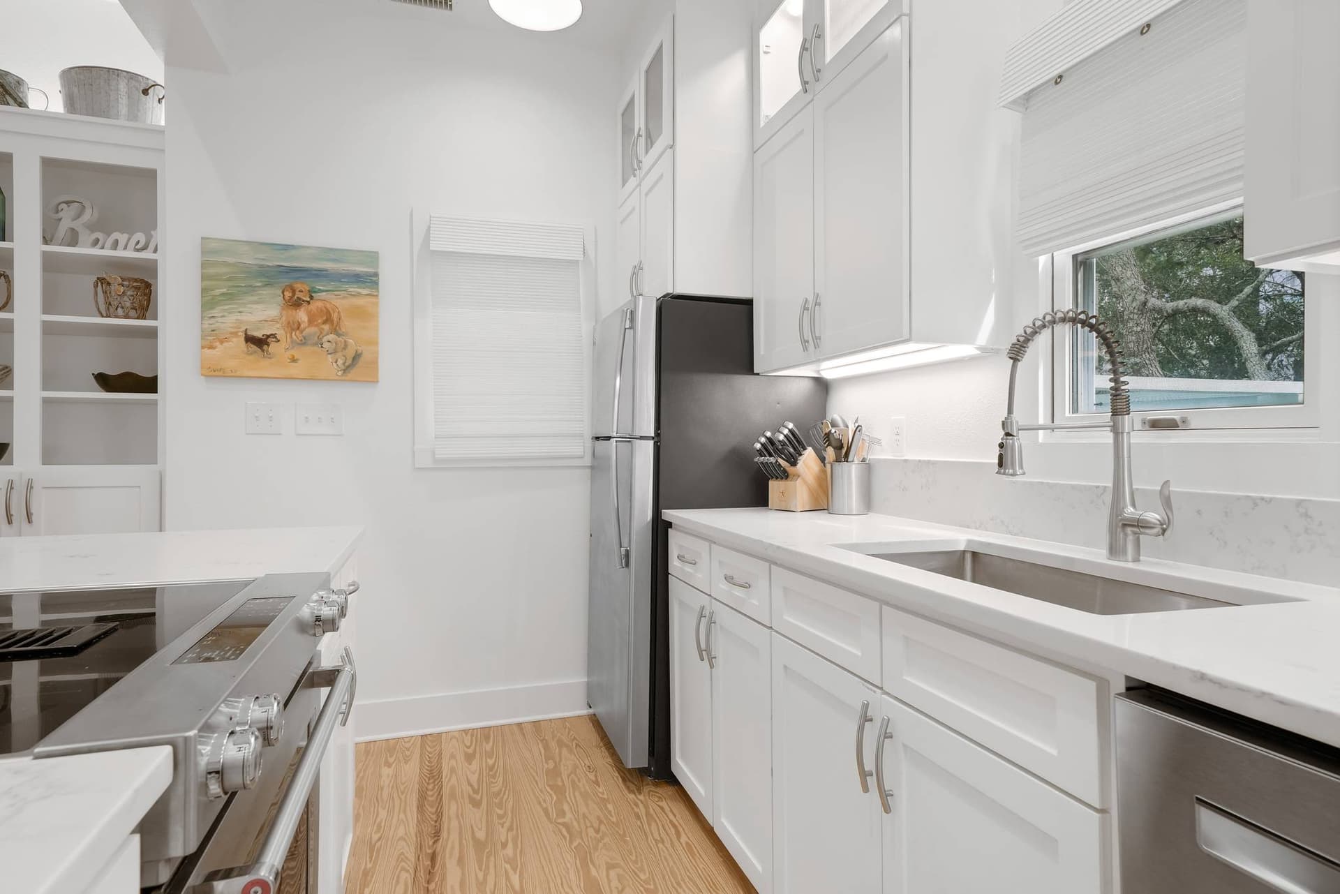 Salty Dogs House - Image 11