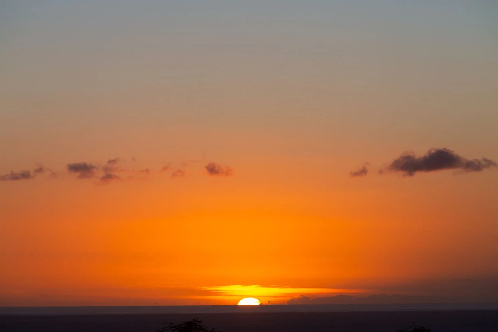 Hale Kailani - Image 19