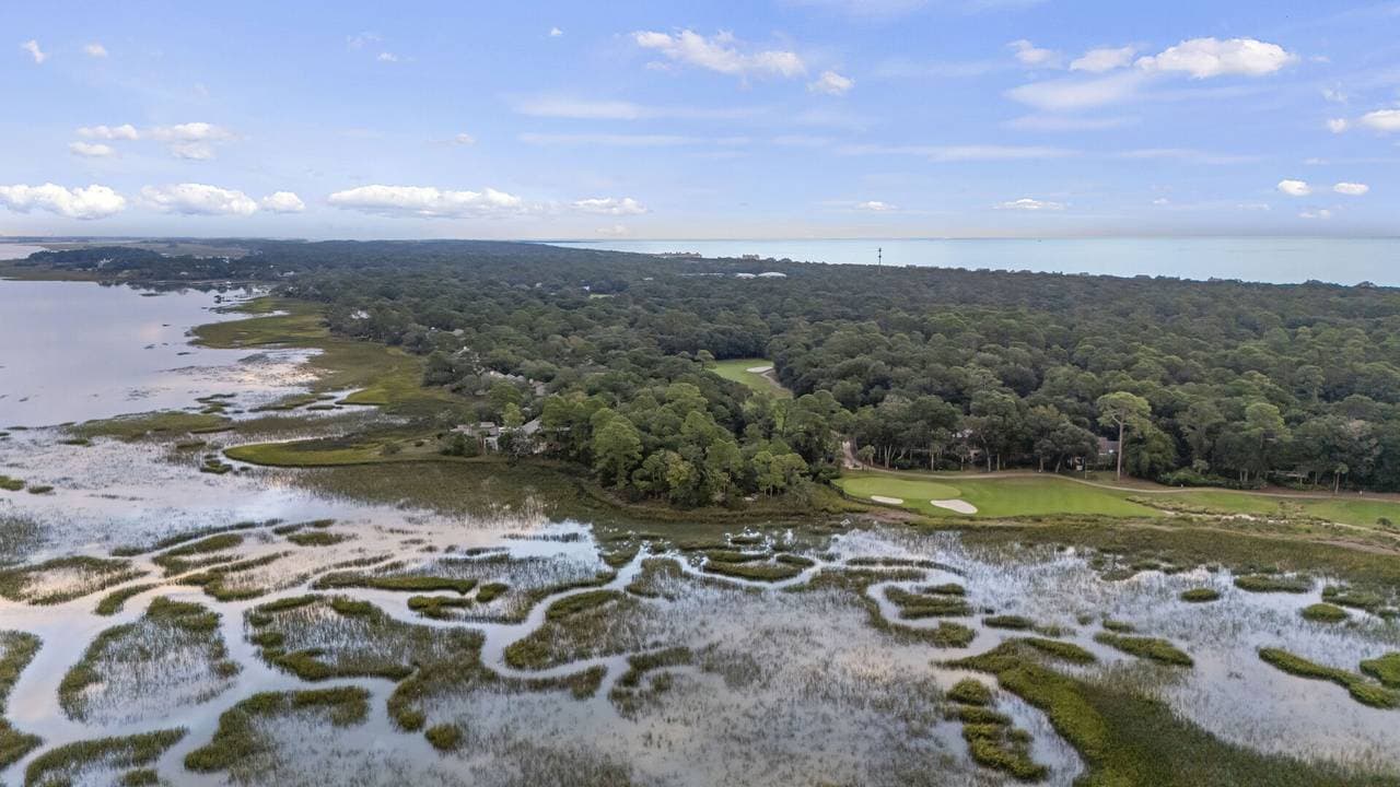 Marsh Hawk - Image 62