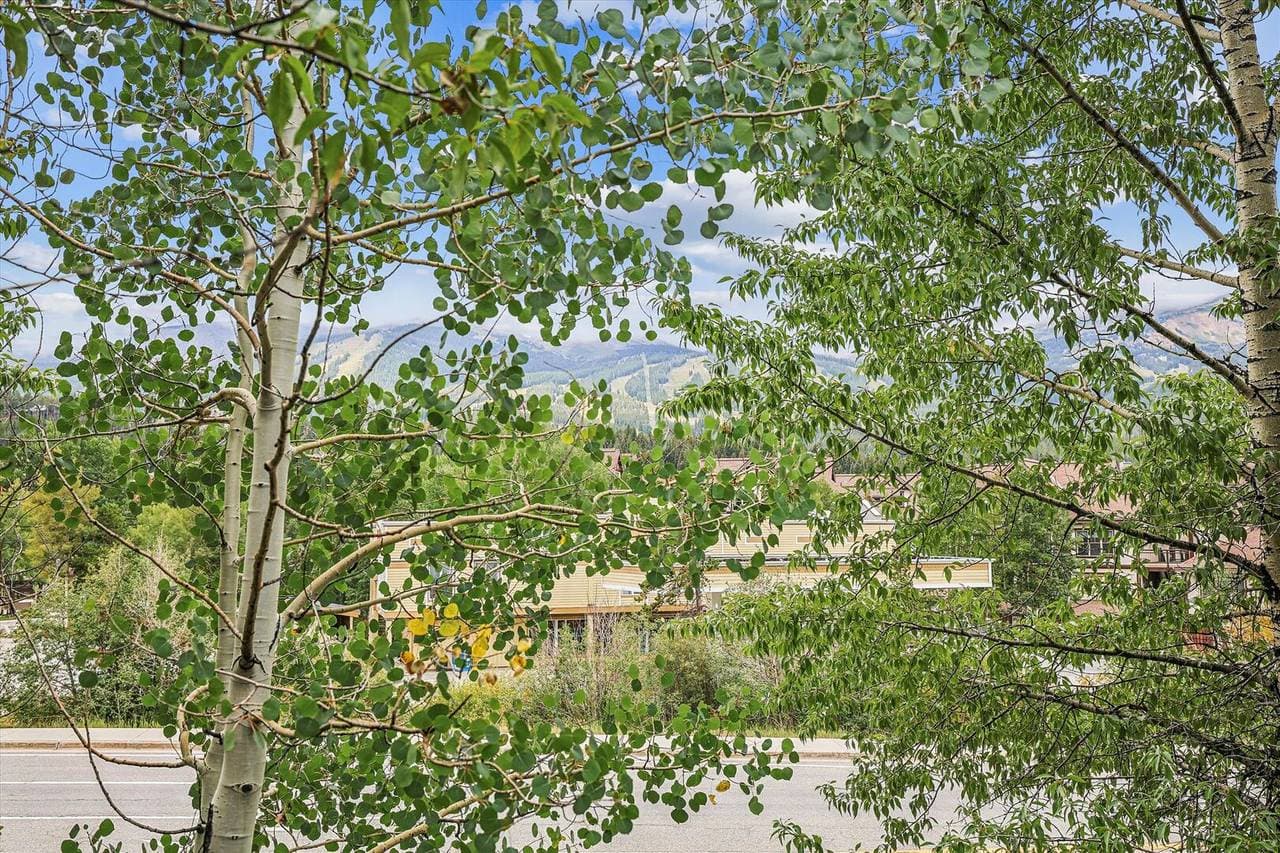 Main Street Junction Condo #29 - Image 39