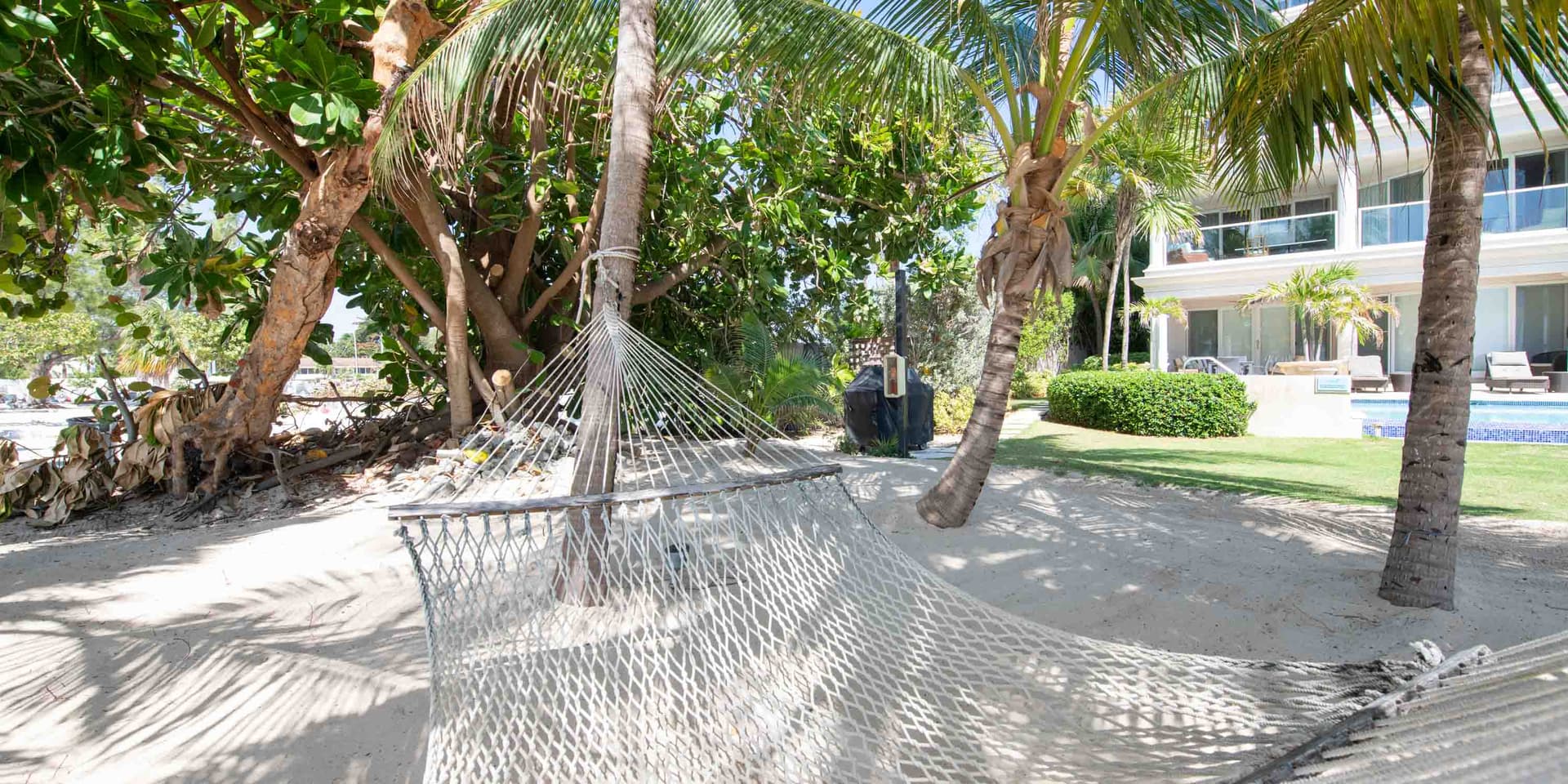 Seabreeze #8 - Image 5