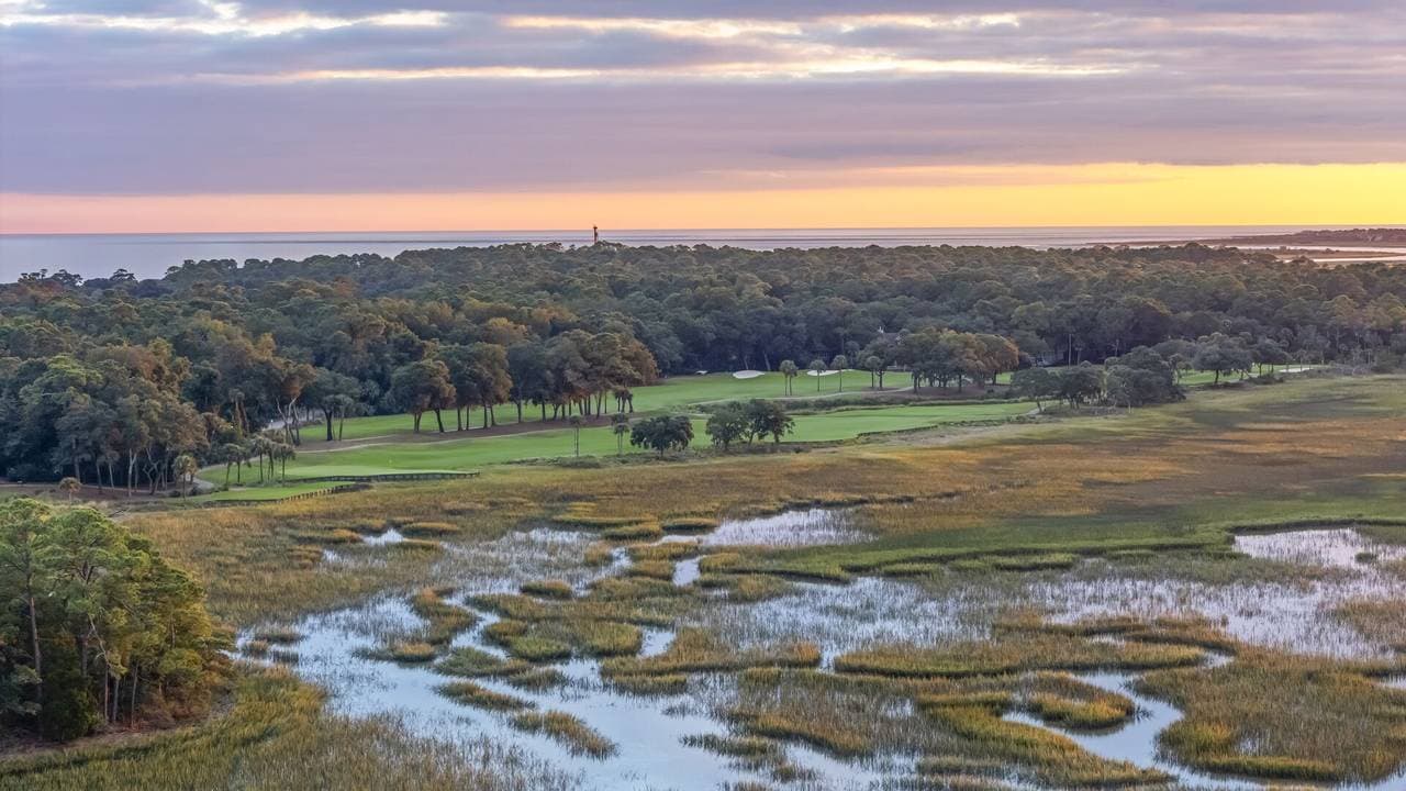 Marsh Hawk - Image 55