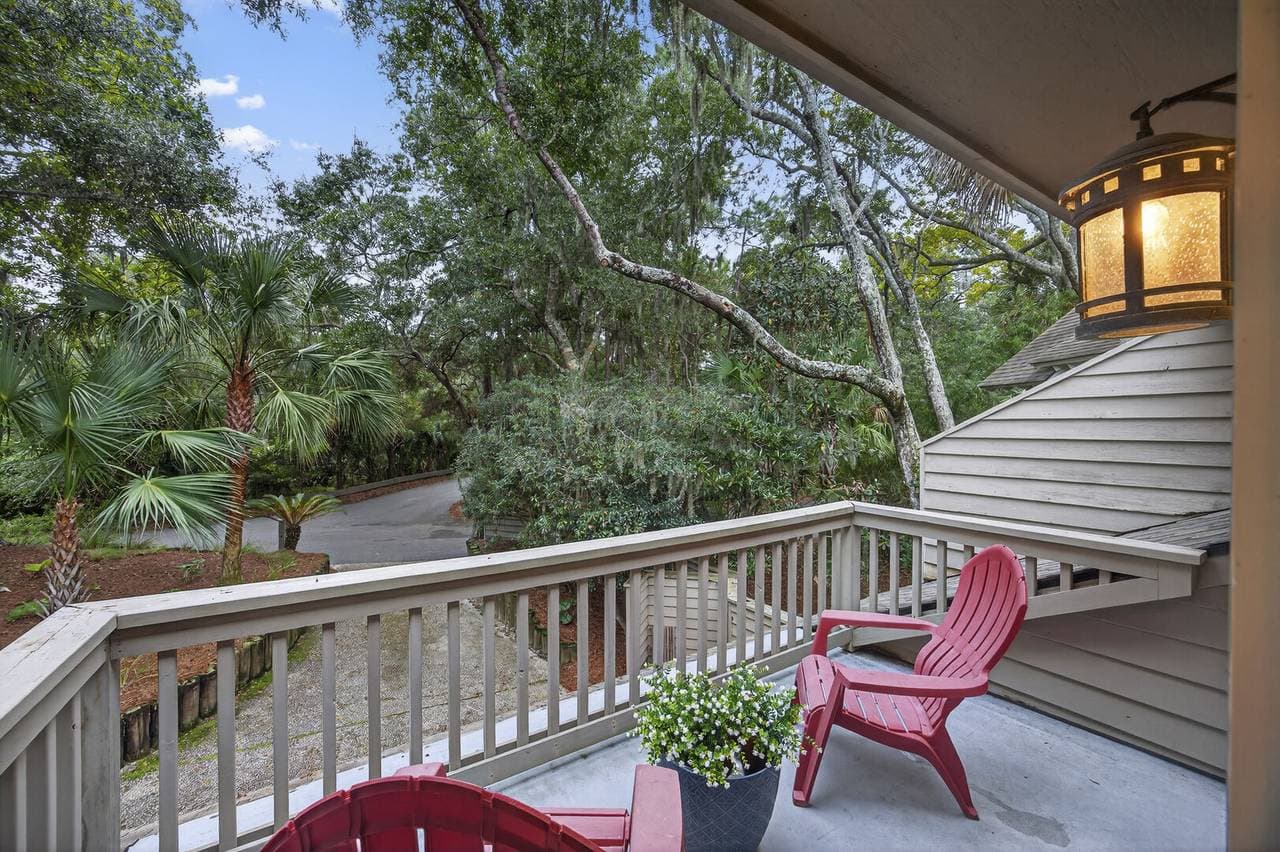 Marsh Hawk - Image 40