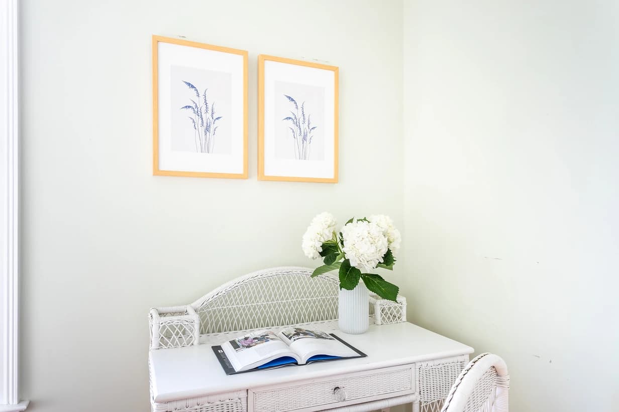 Sea Shell - Image 18