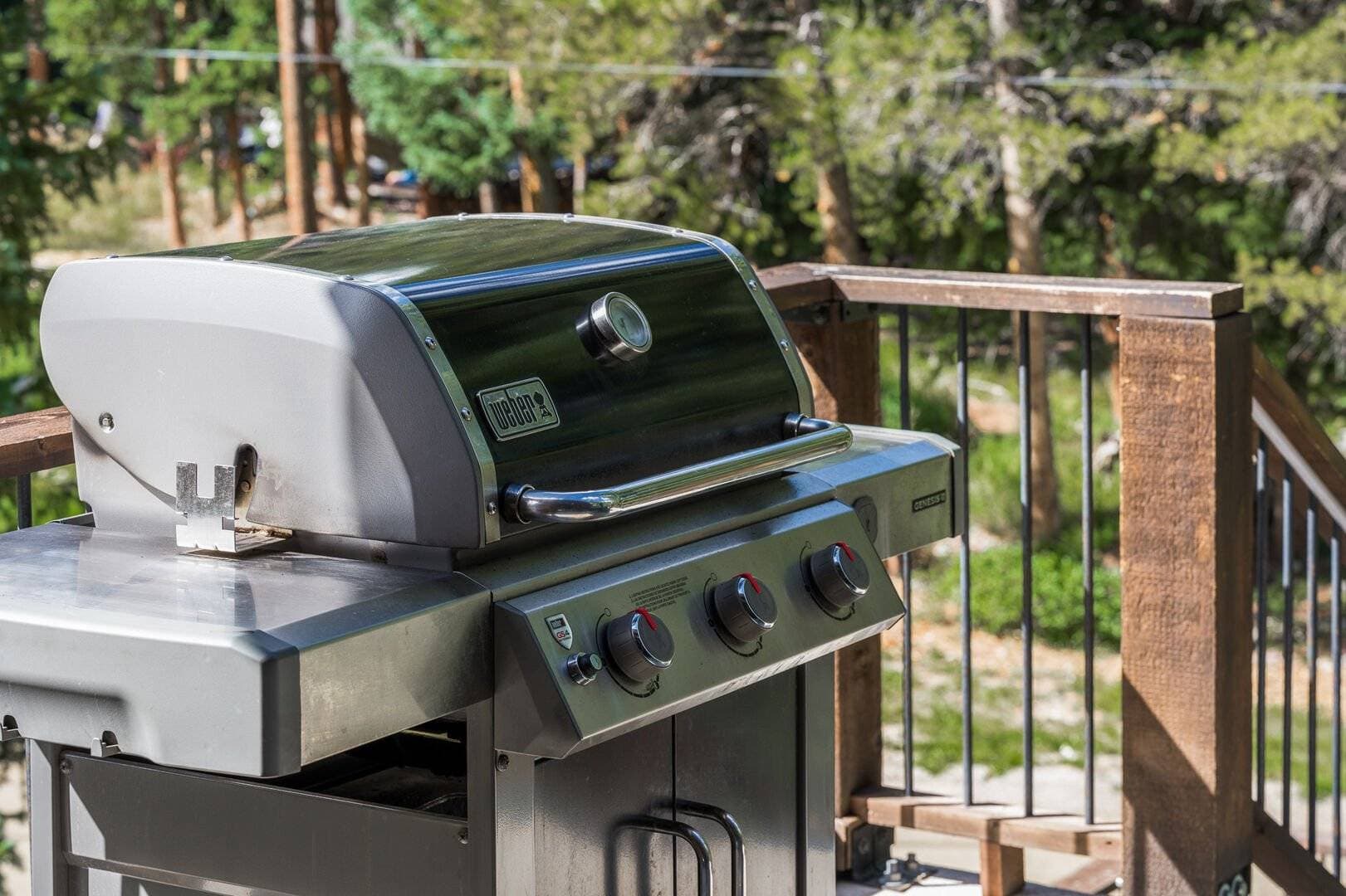 Mountain Manor - Image 80