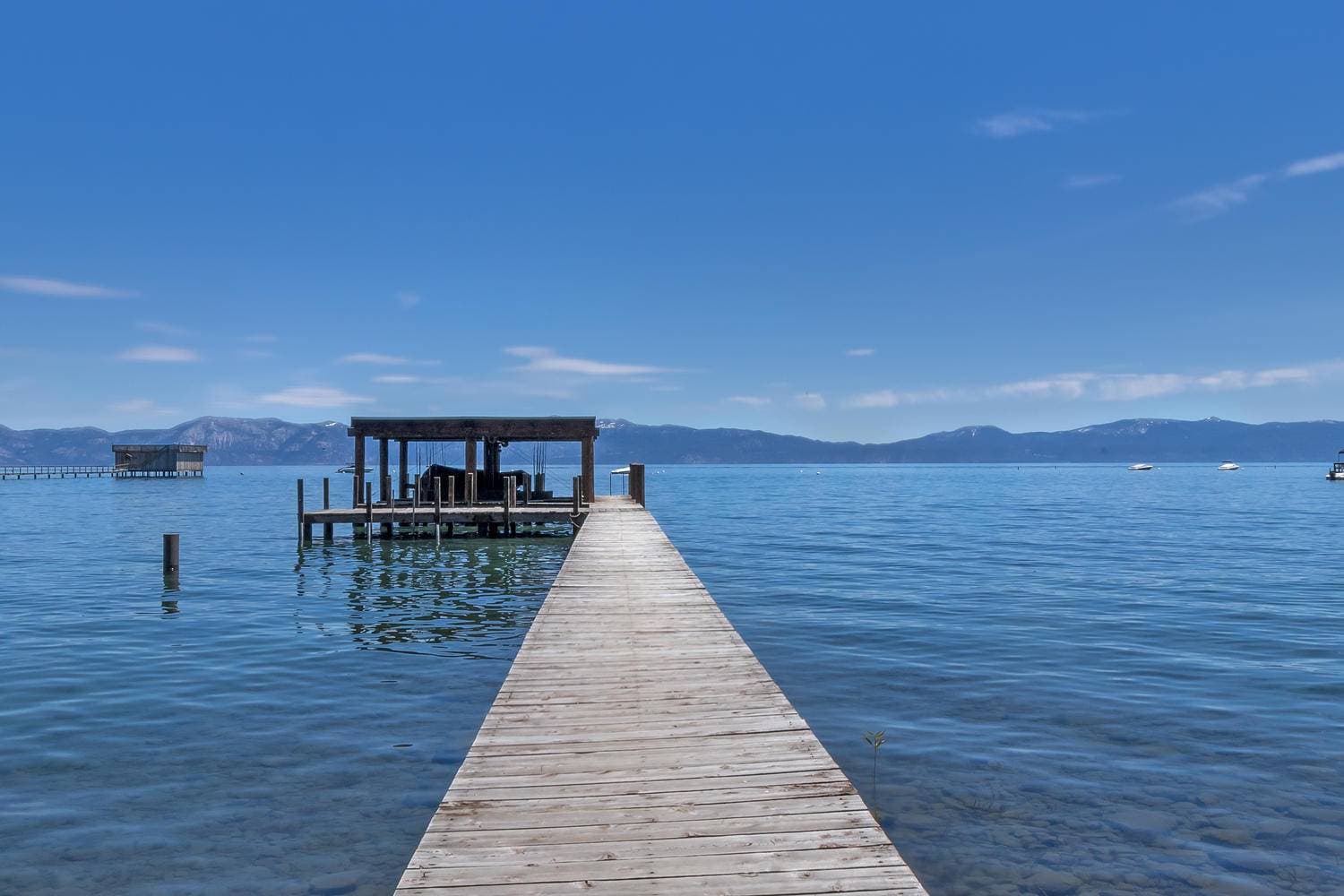 Cathedral Pines - Image 2