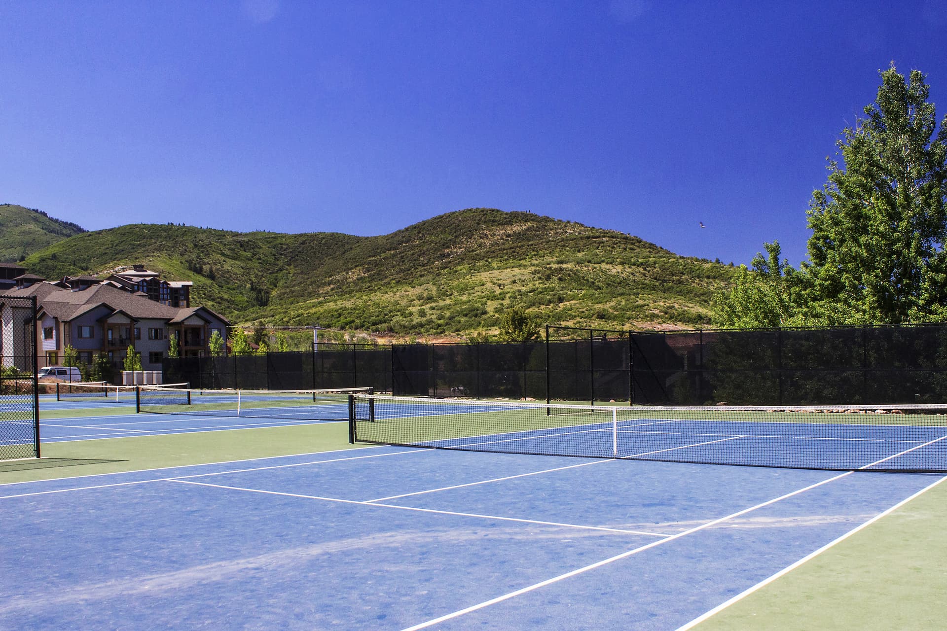 Red Pine Wonder Home - Image 34