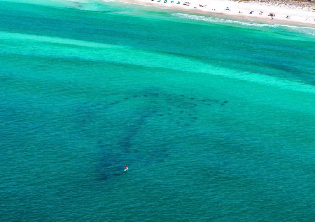 Henderson Beach Villa #2 - Image 56