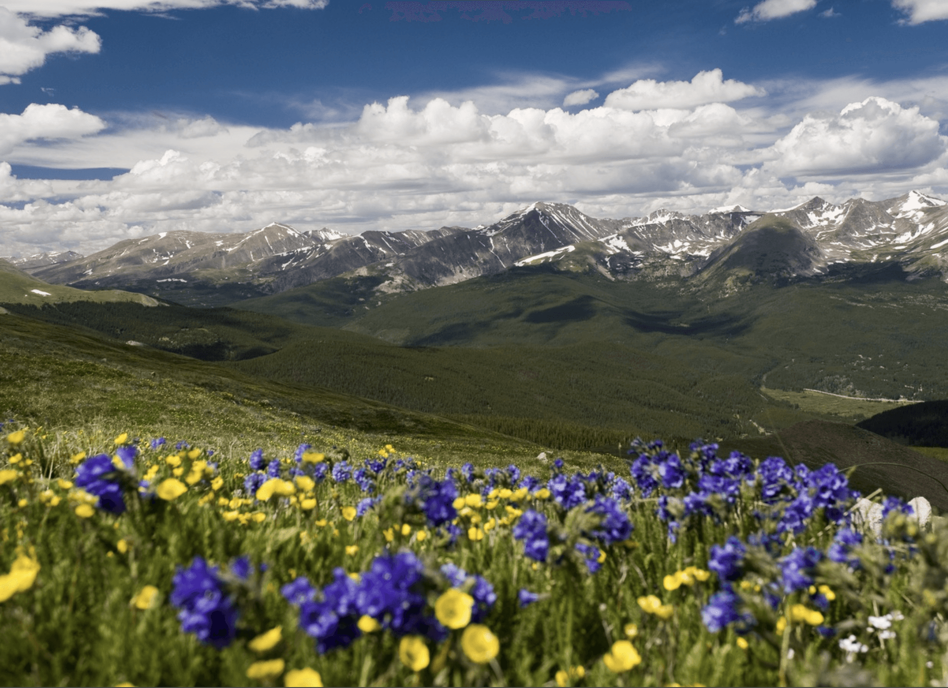 Vista Ridge - Image 39