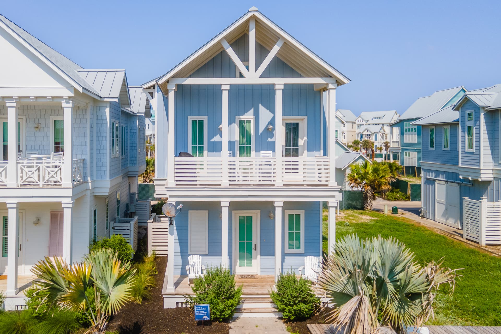 Violet Palm - Image 1