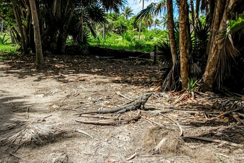 Villa Aktun - Image 46