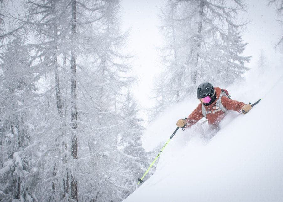 Winterleaf - Image 71