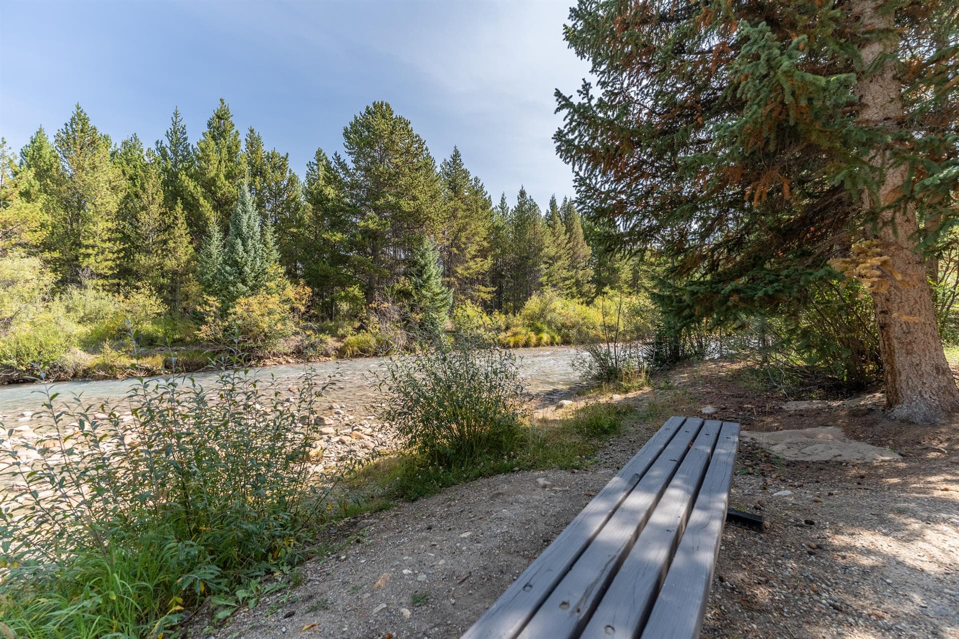 Cedar Cabin - Image 31