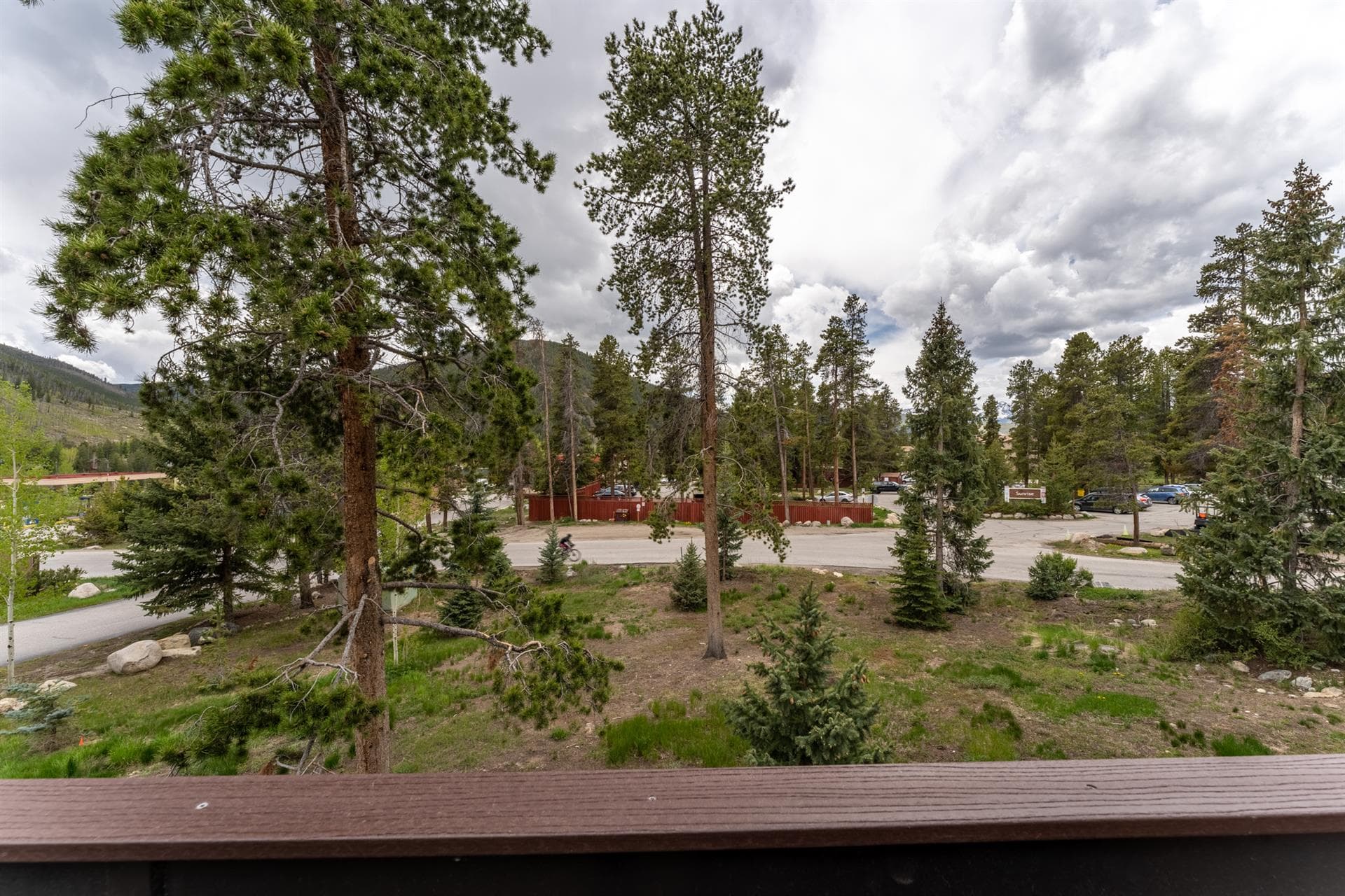 Morning Dew - Image 17