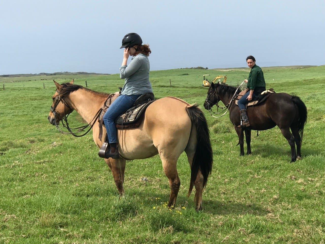 Hawaiiana Escape - Image 47