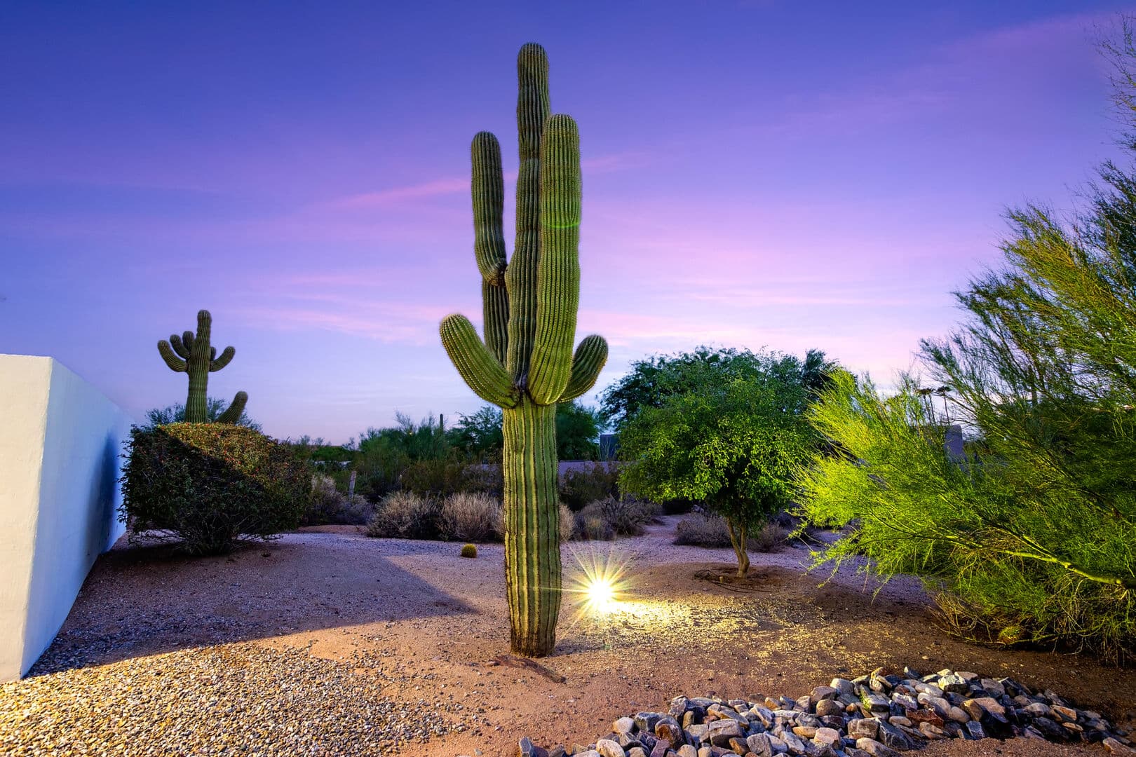 Whispering Wind - Image 104