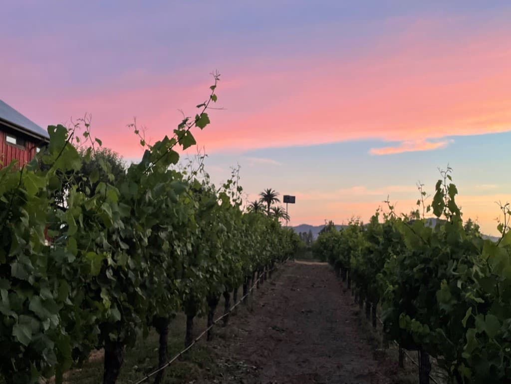 Guest House at Dalya Estate - Image 29