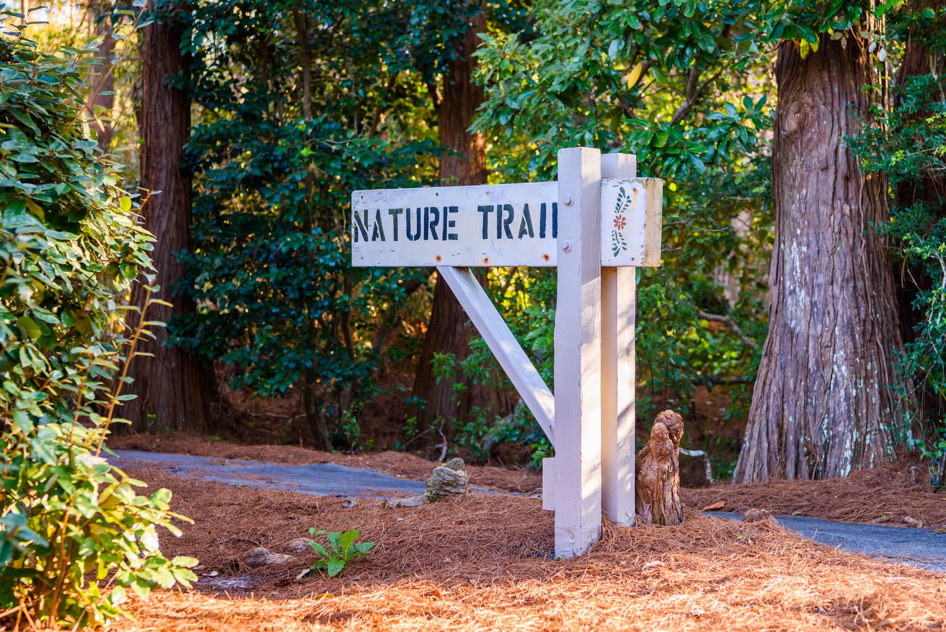 A Wave From It All - Image 39