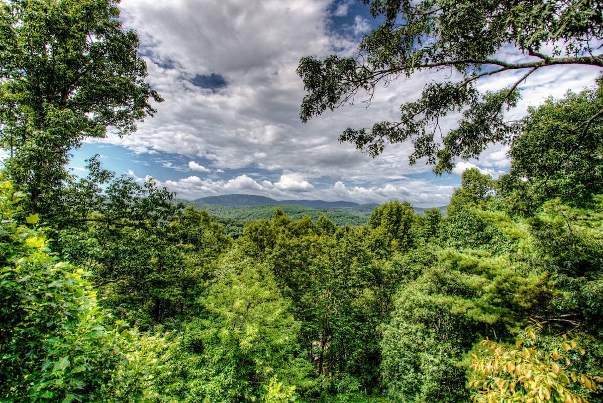 Whispering Stream - Image 30