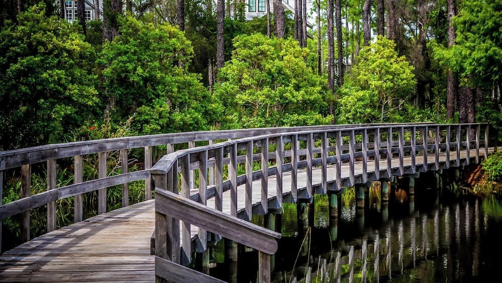 Friday on my Mind - Image 58