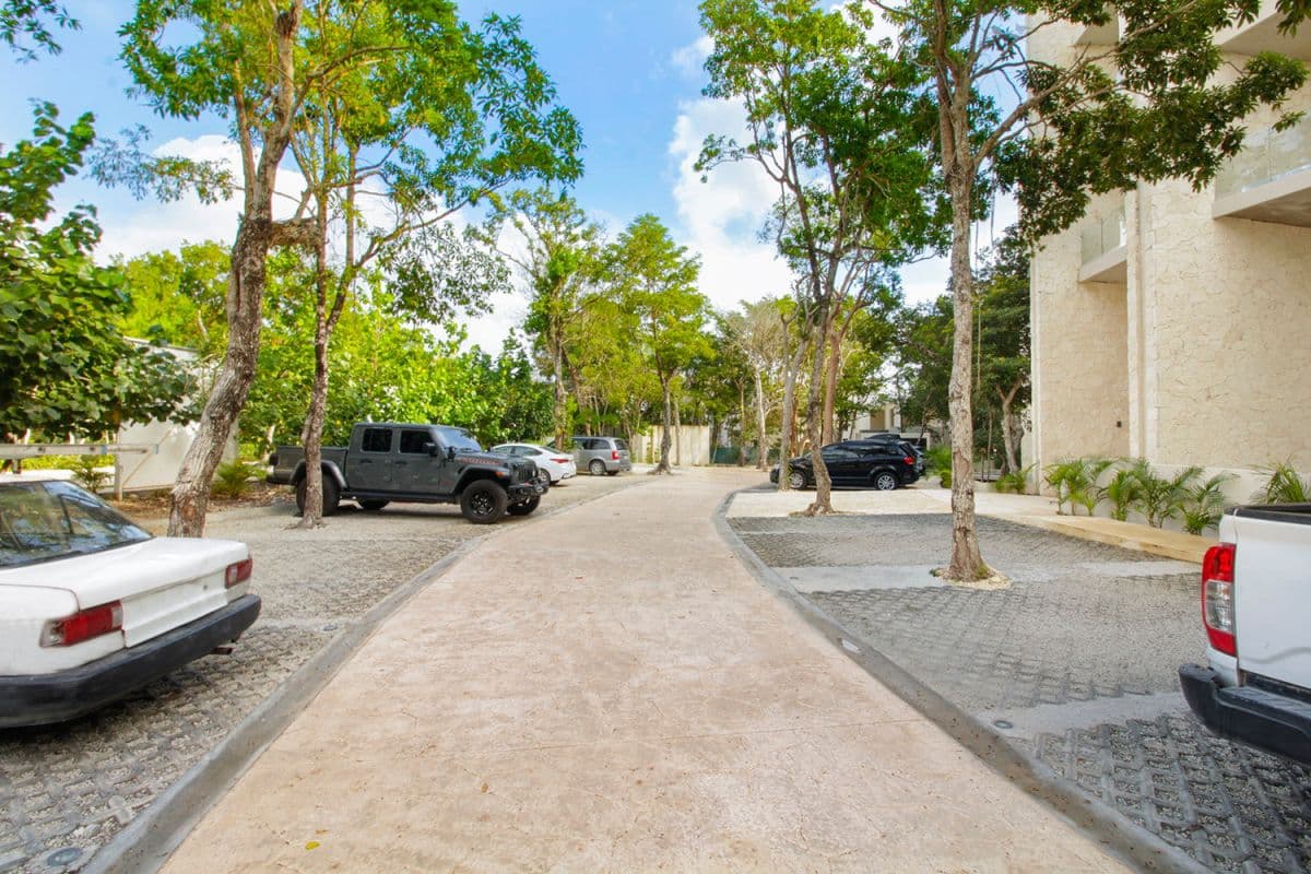 Jungle Sol - Image 28