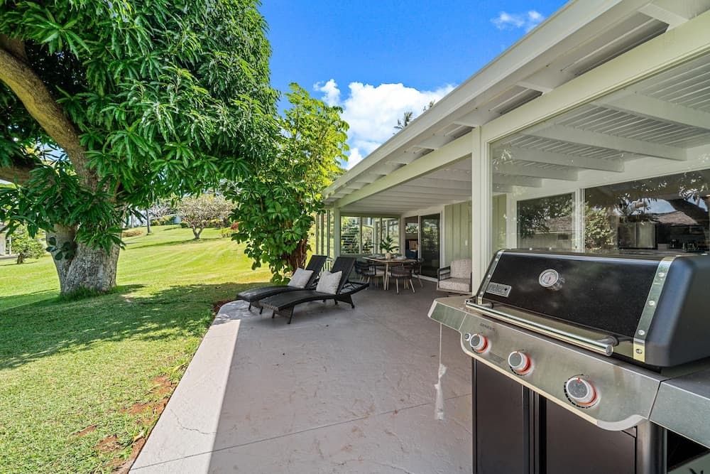 Alaeloa #38 - Image 16