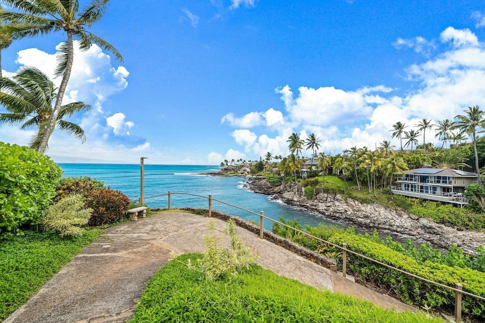 Alaeloa #38 - Image 42