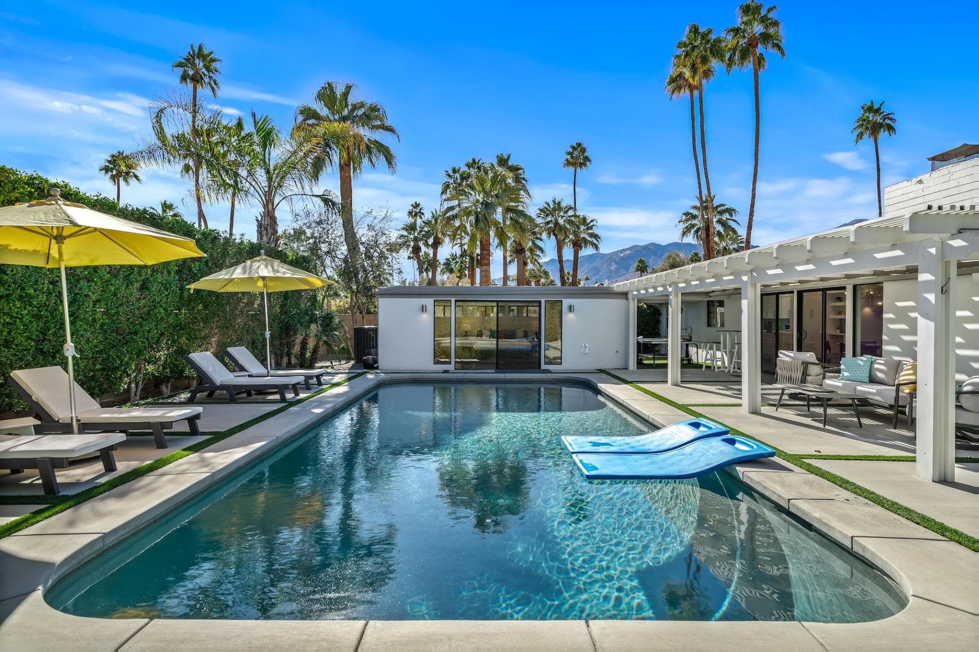 Alexander Desert Dreams - Image 2