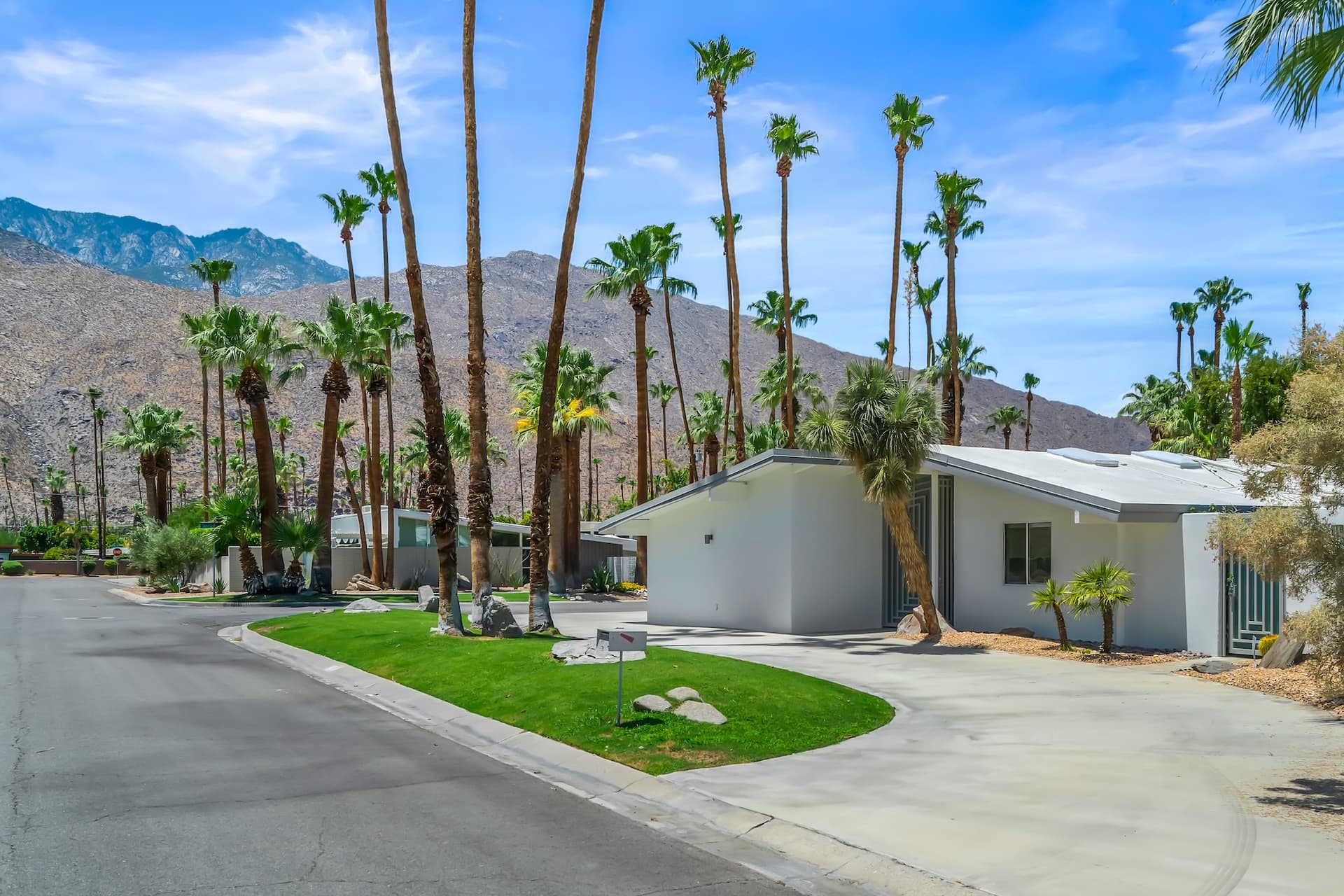 Alexander Desert Dreams - Image 3