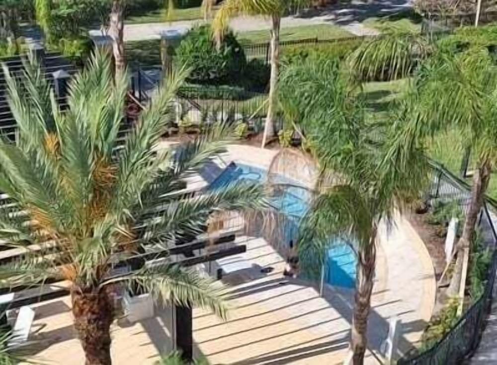 Palm Circuit - Image 14