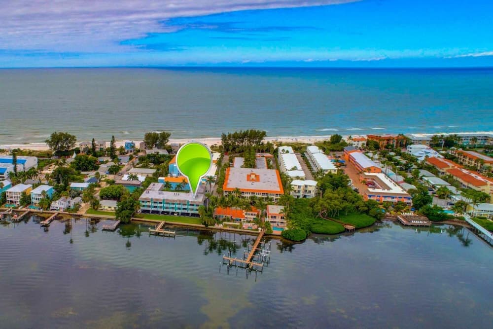 Beach Palms #2B - Image 2