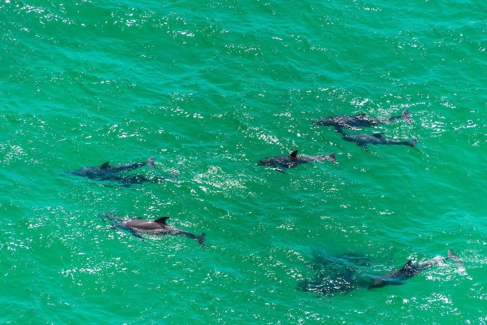 Ariel Dunes I #707 - Image 36