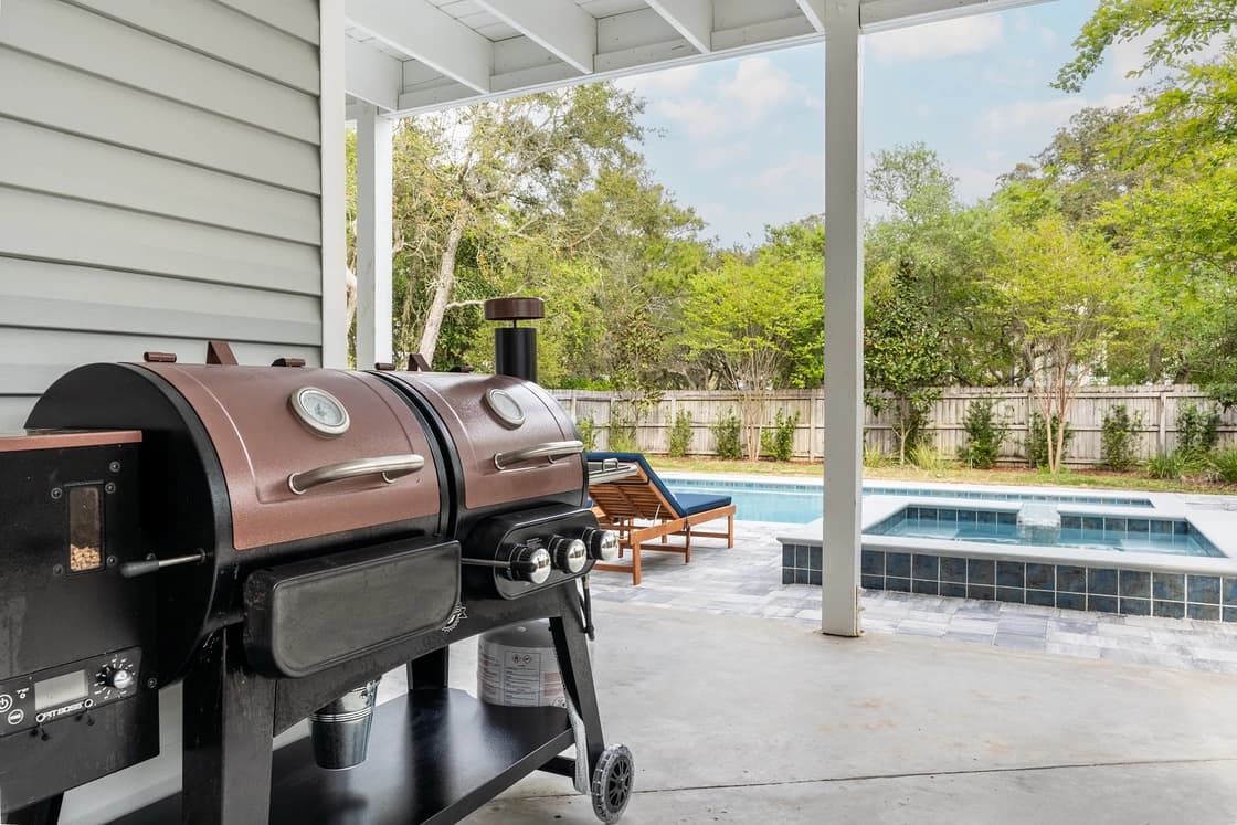 Dolphin Days - Image 23