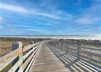 Bahama Mama - Image 2