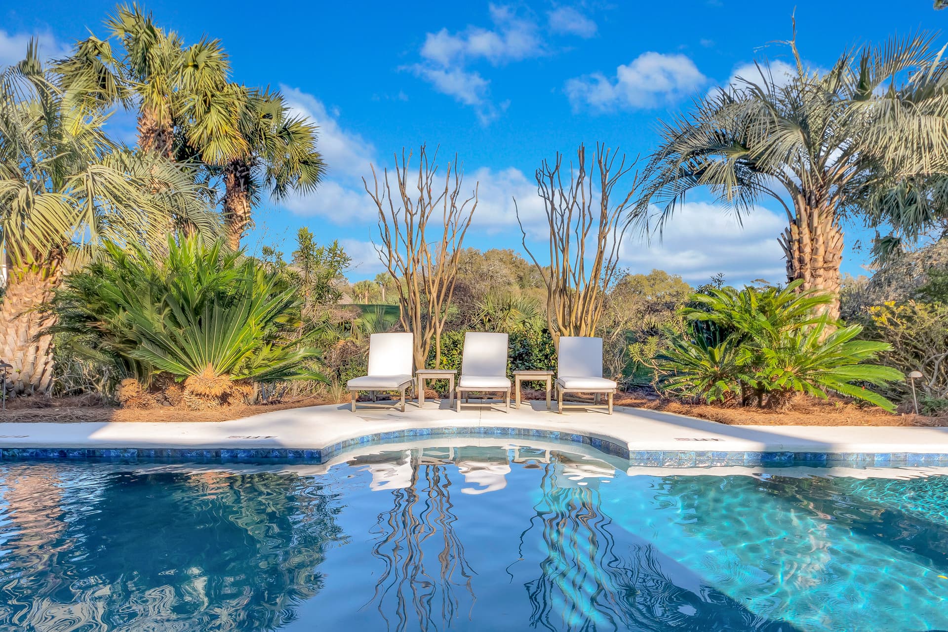 Bluebill Sanctuary - Image 43