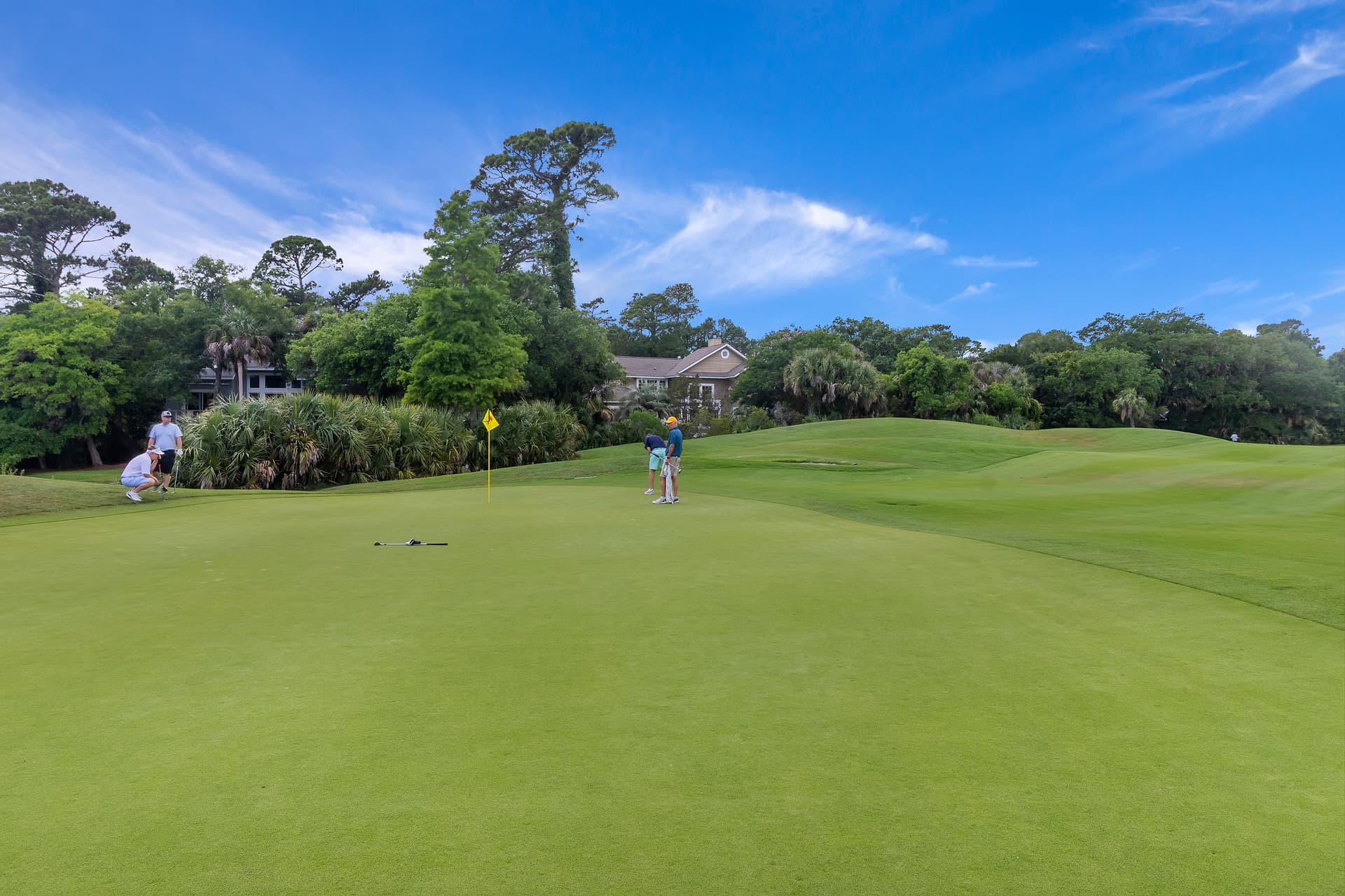 Bluebill Sanctuary - Image 47