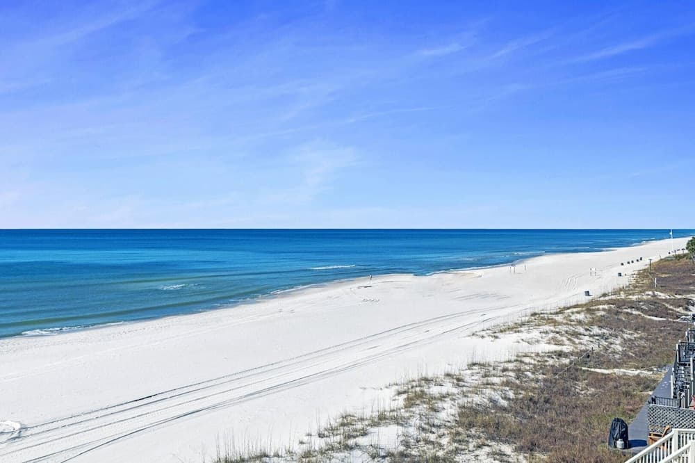 Shellebration - Image 20