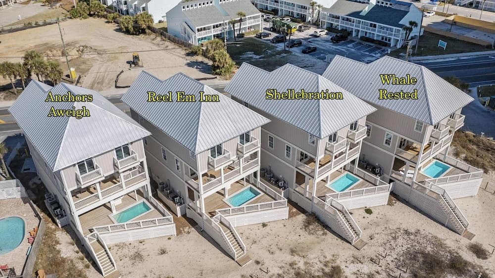 Shellebration - Image 35