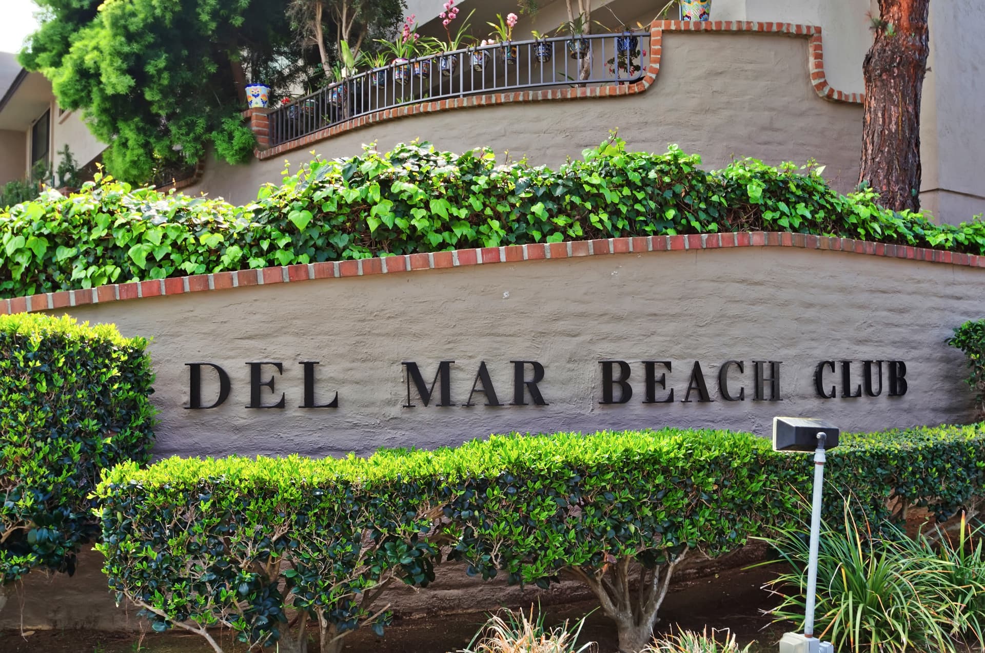 Beach Beauty - Image 28