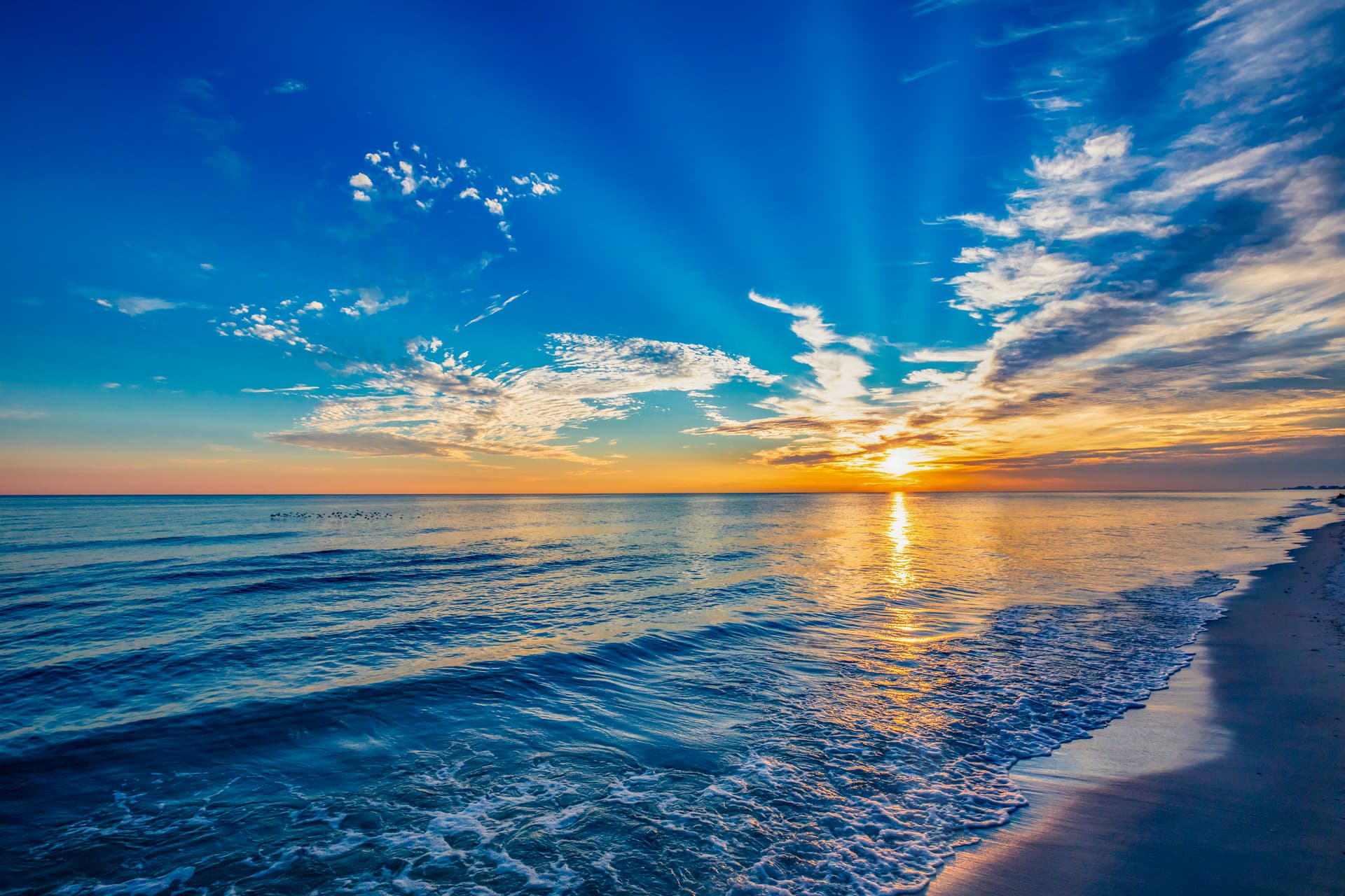 Beachside One #4016 - Image 52