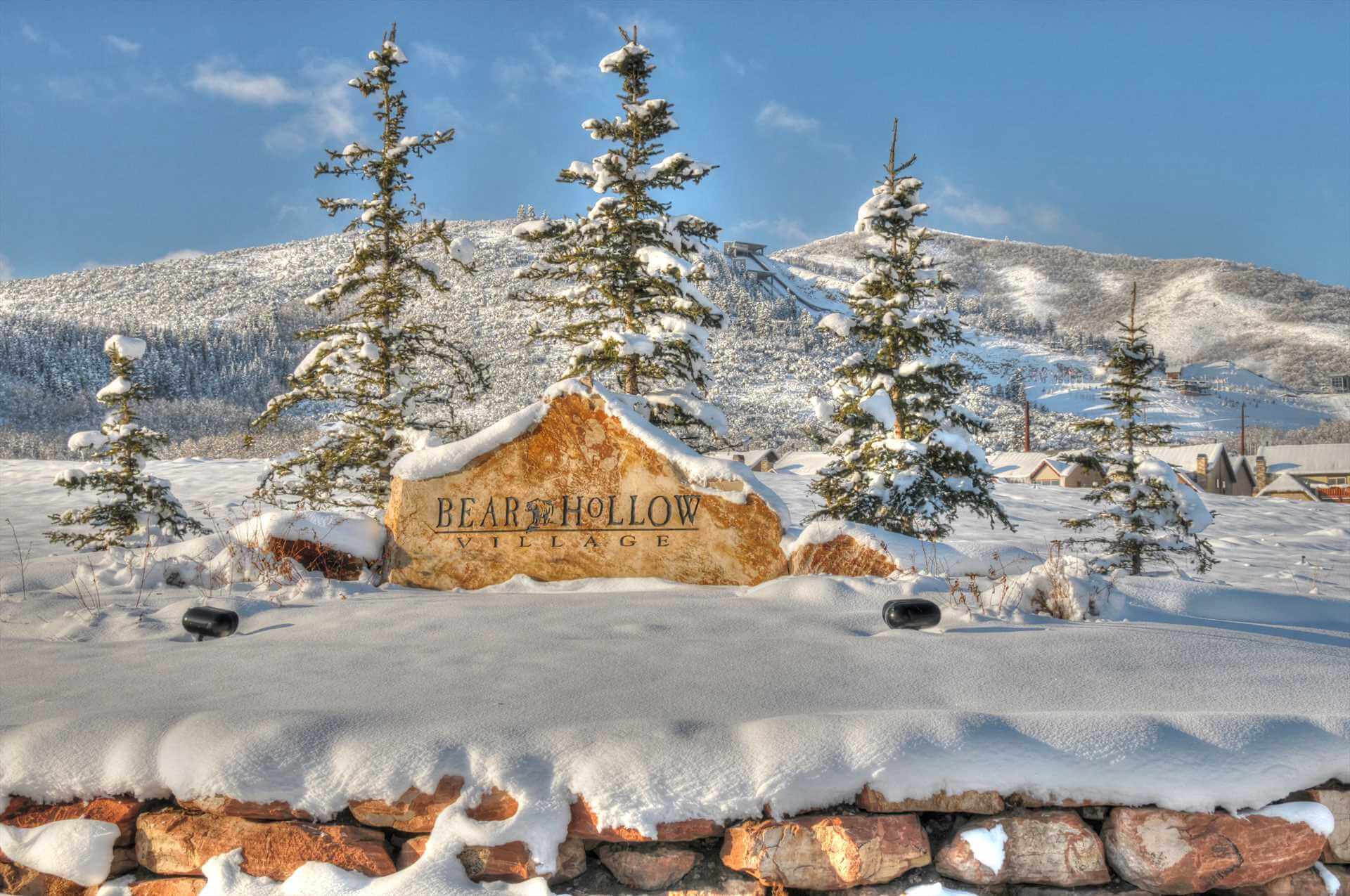 Bear Hollow Village #5595 - Image 45