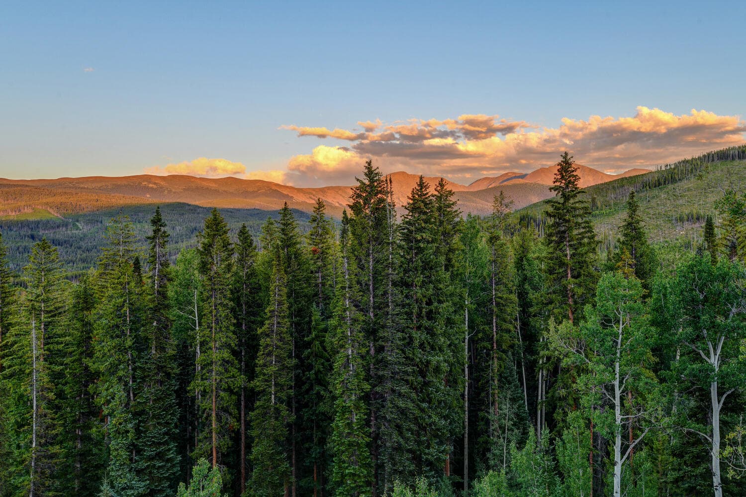 Bear Trail Chalet #411 - Image 50