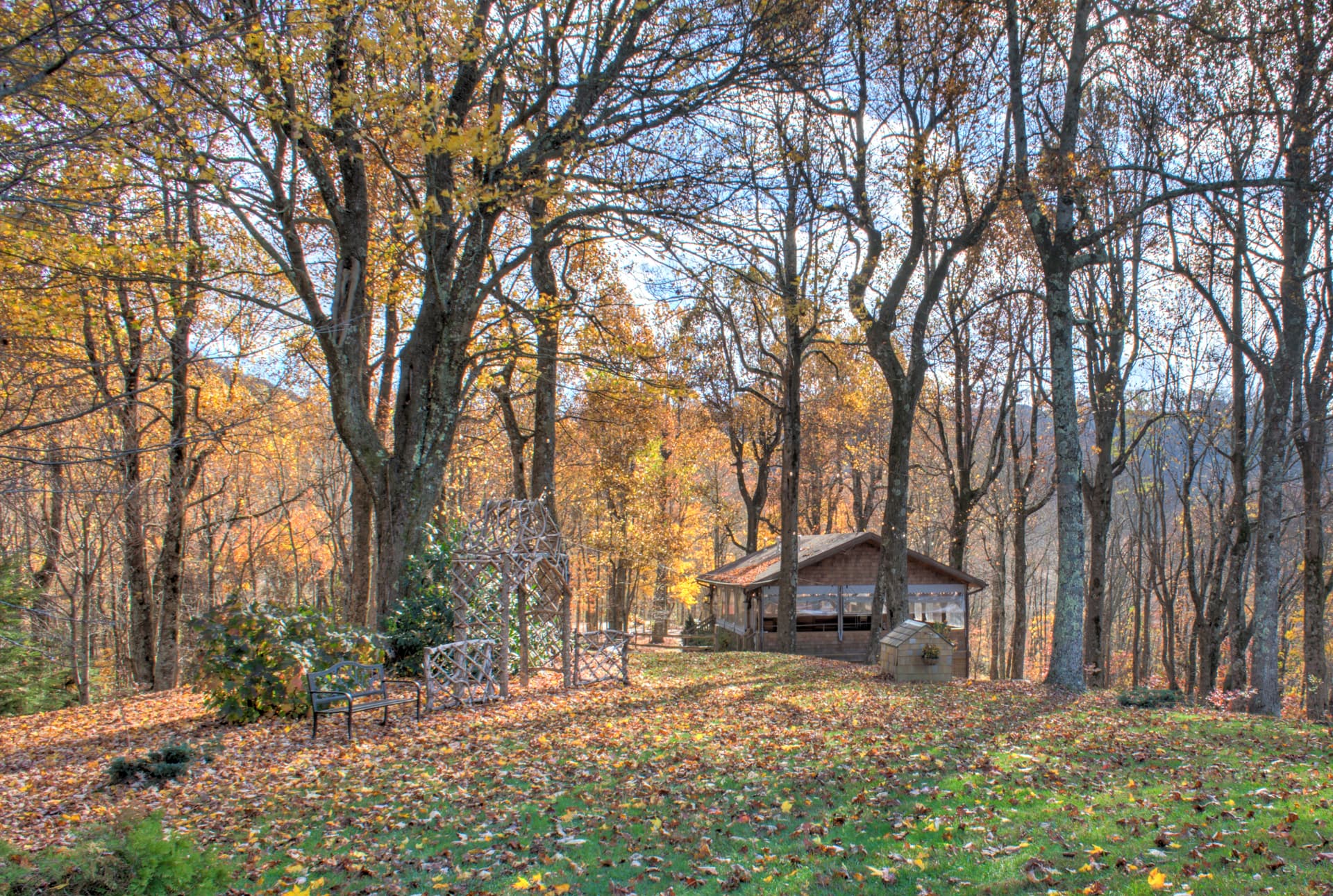 Bearwallow Lodge - Image 51