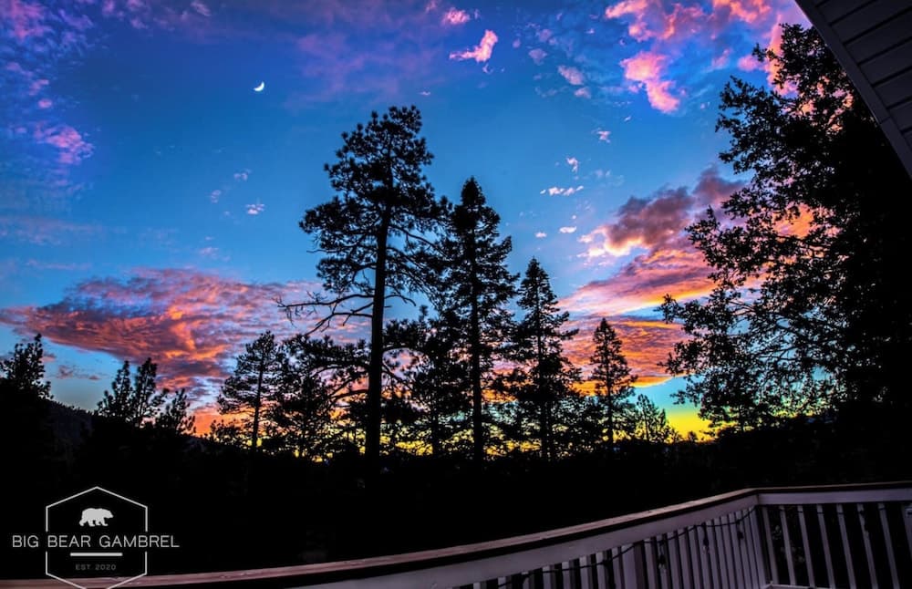 Bear Gambrel #2066 - Image 32